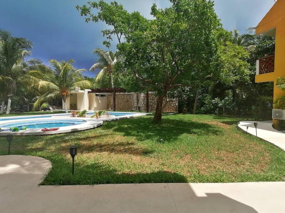 Marysol Great Views Beachfront Next To Nomads D3 Ilha das Mulheres Exterior foto