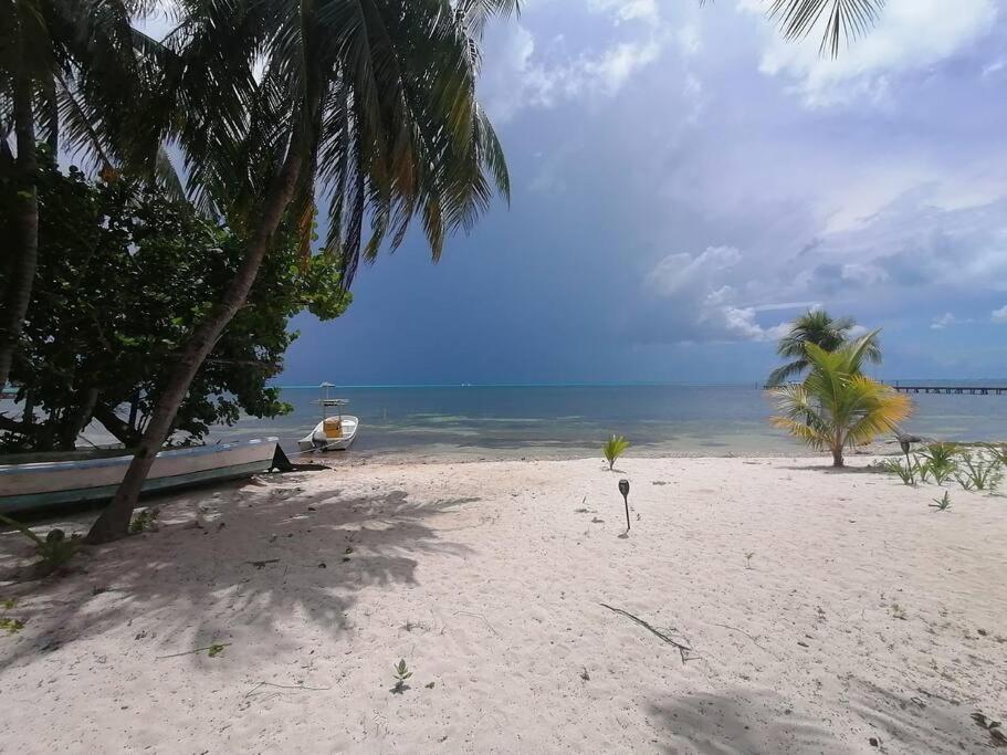 Marysol Great Views Beachfront Next To Nomads D3 Ilha das Mulheres Exterior foto
