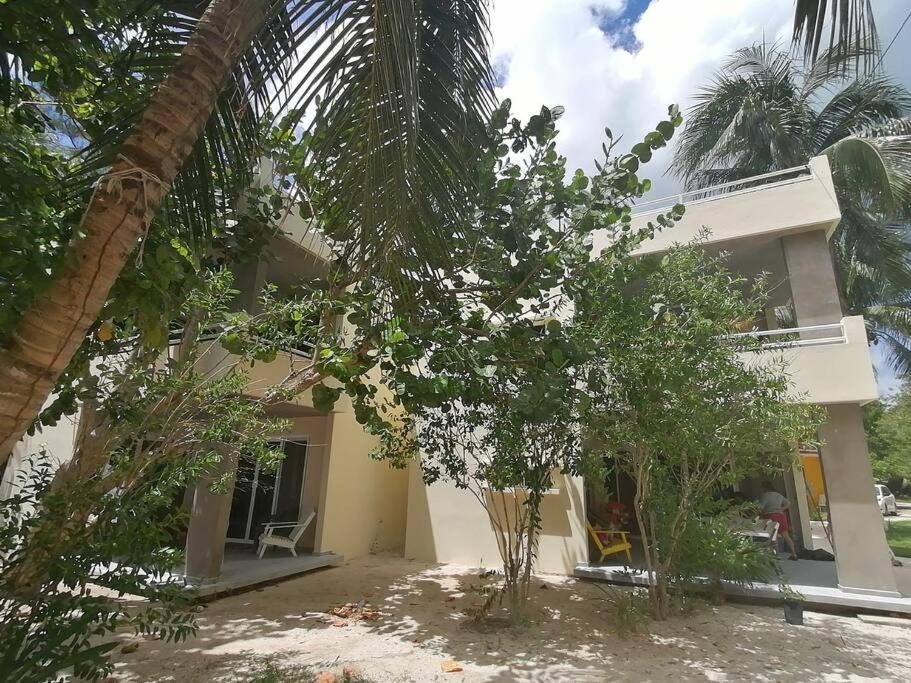 Marysol Great Views Beachfront Next To Nomads D3 Ilha das Mulheres Exterior foto