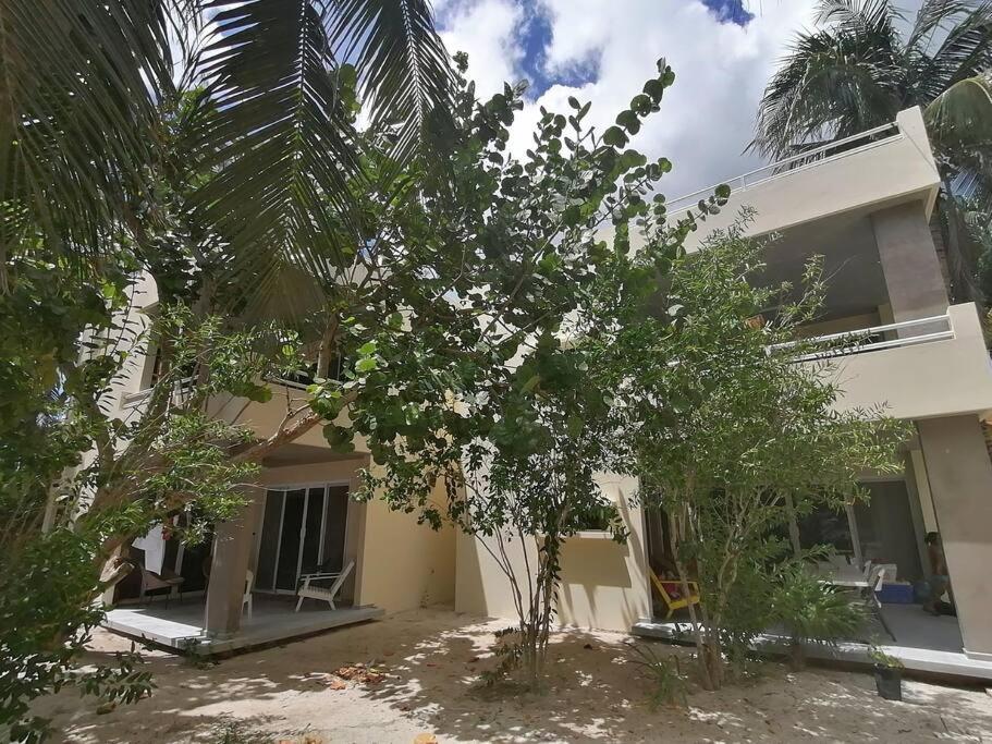 Marysol Great Views Beachfront Next To Nomads D3 Ilha das Mulheres Exterior foto