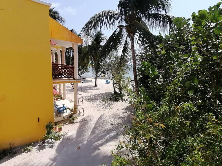 Marysol Great Views Beachfront Next To Nomads D3 Ilha das Mulheres Exterior foto