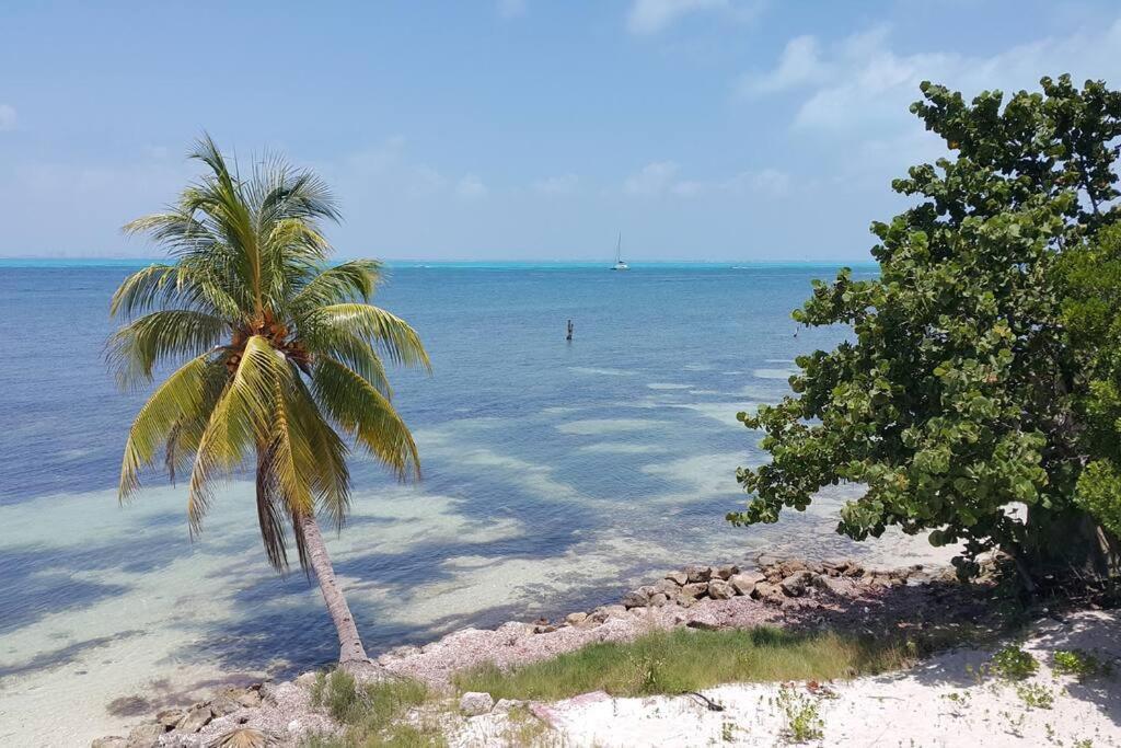 Marysol Great Views Beachfront Next To Nomads D3 Ilha das Mulheres Exterior foto
