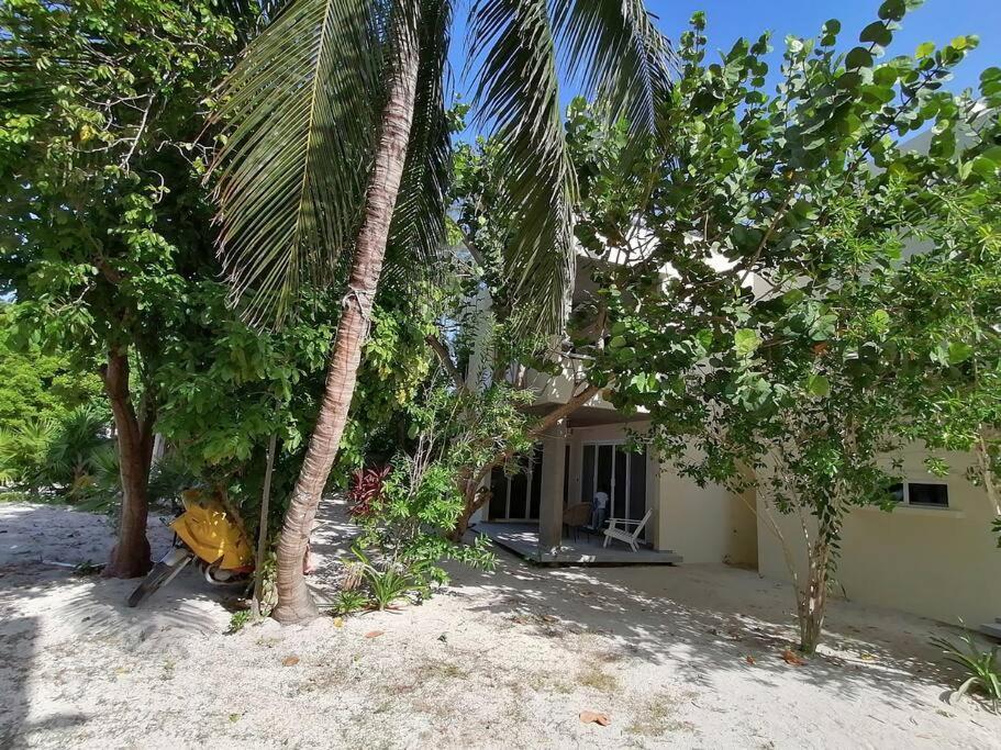 Marysol Great Views Beachfront Next To Nomads D3 Ilha das Mulheres Exterior foto