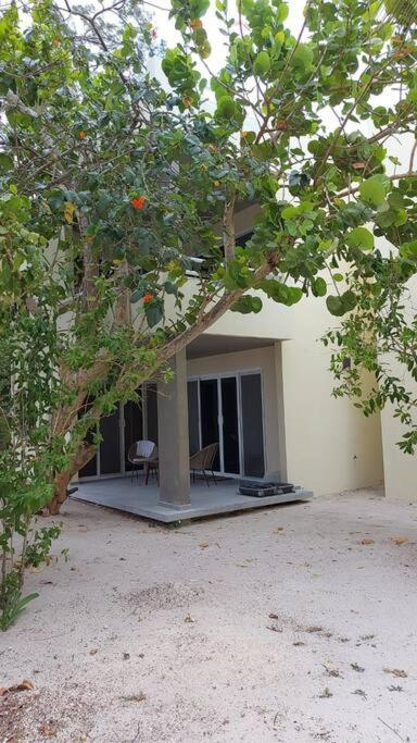 Marysol Great Views Beachfront Next To Nomads D3 Ilha das Mulheres Exterior foto
