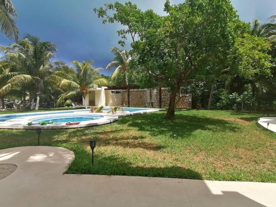 Marysol Great Views Beachfront Next To Nomads D3 Ilha das Mulheres Exterior foto